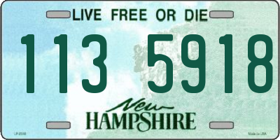 NH license plate 1135918