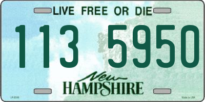 NH license plate 1135950