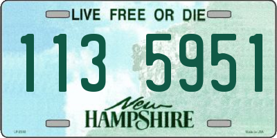 NH license plate 1135951
