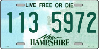 NH license plate 1135972