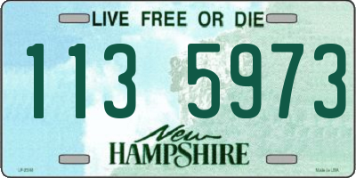 NH license plate 1135973