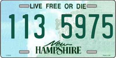 NH license plate 1135975