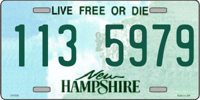 NH license plate 1135979