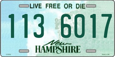 NH license plate 1136017