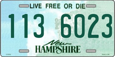 NH license plate 1136023