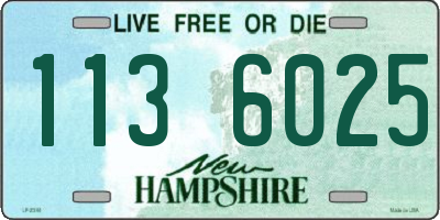 NH license plate 1136025