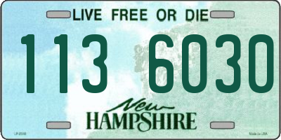 NH license plate 1136030