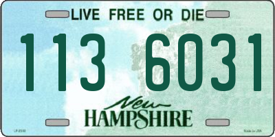 NH license plate 1136031