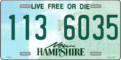 NH license plate 1136035
