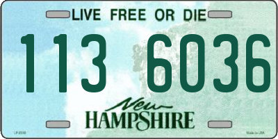 NH license plate 1136036