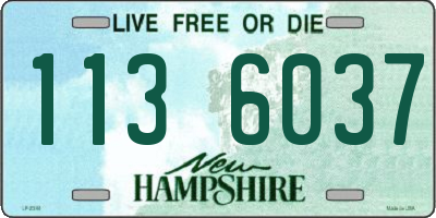 NH license plate 1136037