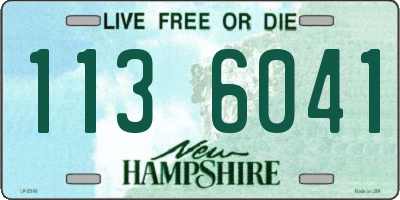 NH license plate 1136041