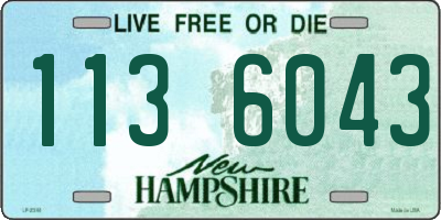 NH license plate 1136043