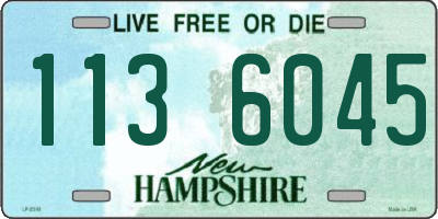 NH license plate 1136045