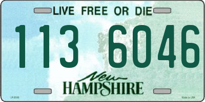 NH license plate 1136046
