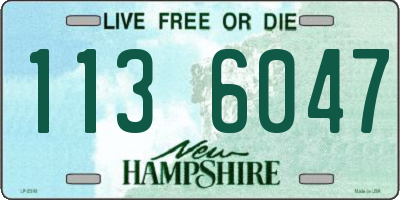NH license plate 1136047