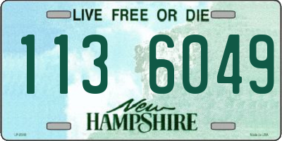 NH license plate 1136049