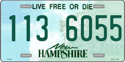 NH license plate 1136055