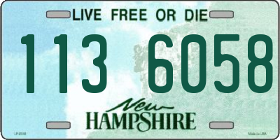 NH license plate 1136058