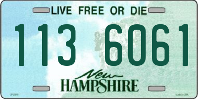 NH license plate 1136061