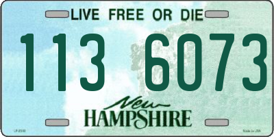 NH license plate 1136073