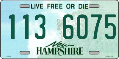 NH license plate 1136075