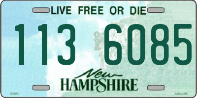 NH license plate 1136085