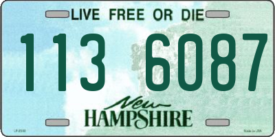 NH license plate 1136087