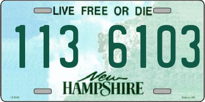 NH license plate 1136103