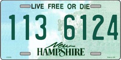 NH license plate 1136124