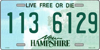 NH license plate 1136129