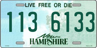 NH license plate 1136133