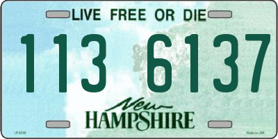 NH license plate 1136137
