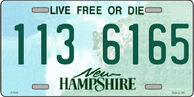 NH license plate 1136165