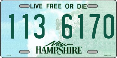 NH license plate 1136170