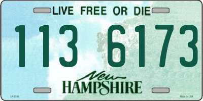 NH license plate 1136173