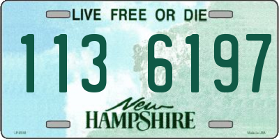 NH license plate 1136197