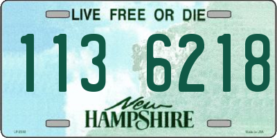 NH license plate 1136218