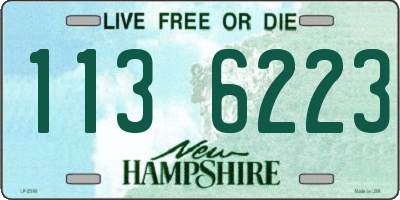 NH license plate 1136223