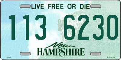 NH license plate 1136230