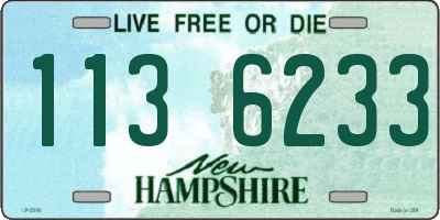 NH license plate 1136233