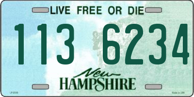 NH license plate 1136234