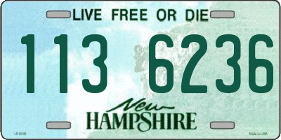 NH license plate 1136236