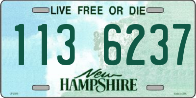 NH license plate 1136237