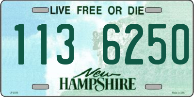 NH license plate 1136250