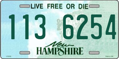 NH license plate 1136254
