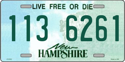 NH license plate 1136261