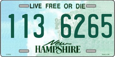 NH license plate 1136265