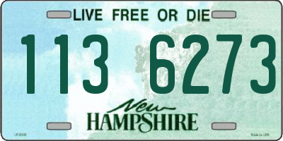 NH license plate 1136273