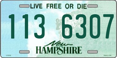 NH license plate 1136307